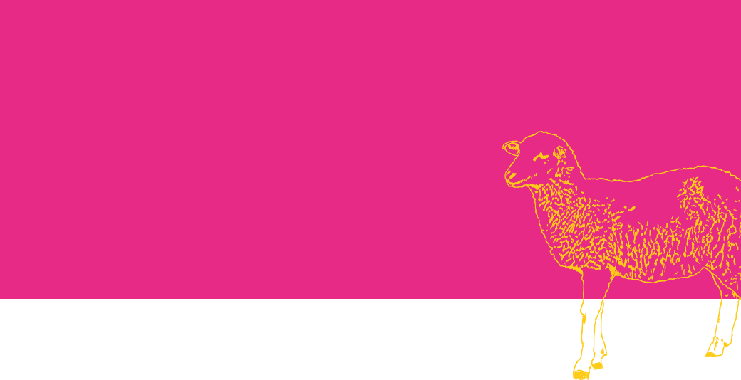 Ilustração de carneiro